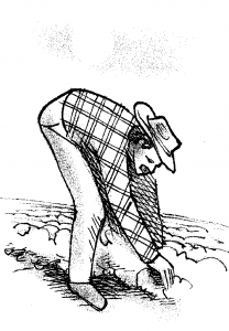 گرما زدگی